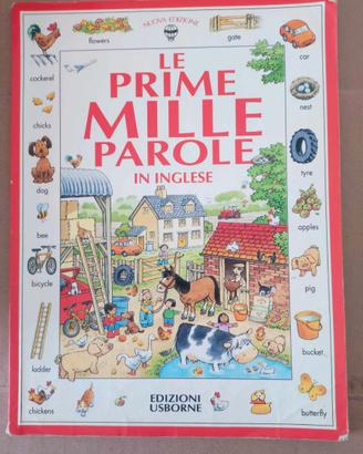 Libro Le prime mille parole in inglese-Ed. Usborne