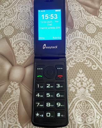 cellulare easyteck