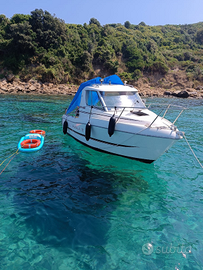 Sessa Rapala 19