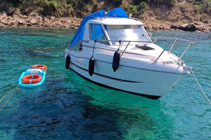 Sessa Rapala 19