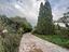 Immagine 10