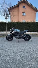 Ducati Monster + 937 2023