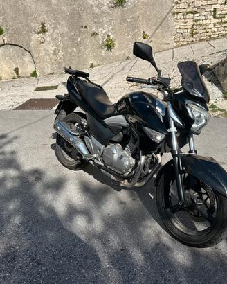 Suzuki Inazuma 250 (2012) - Solo 11.733 km