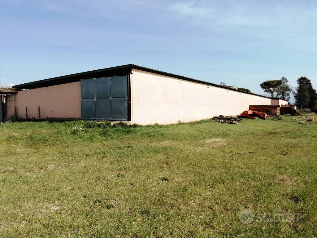 Terreno di 230000 m² a Montelibretti - Vista 3