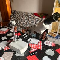 Microscopio binoculare