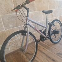 Bicicletta