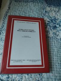 Guida allo studio dell' ebraico biblico 