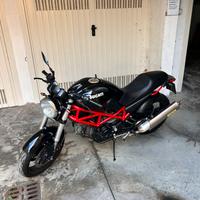 Ducati monster 695