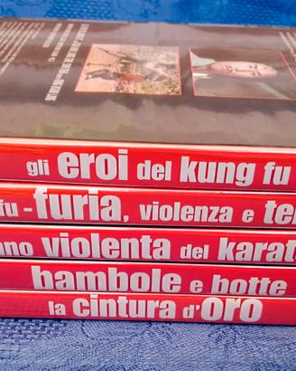 Kung fu - Il grande cinema delle arti marziali DVD