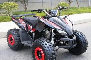 quad 125  senza motore 
