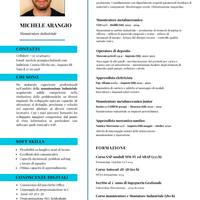 Impiegato/magazziniere/operaio