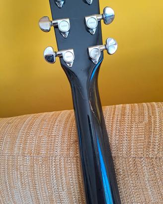 chitarra elettrificata