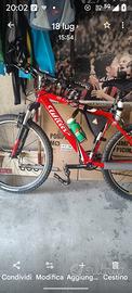 MTB willier triestina  modello 18 carati