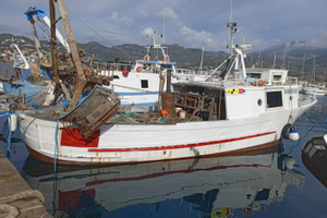 Motopeschereccio con attrezzatura compresa