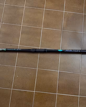 Canna da pesca completa