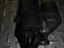 Immagine 5