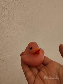 Paperella papera che si illumina