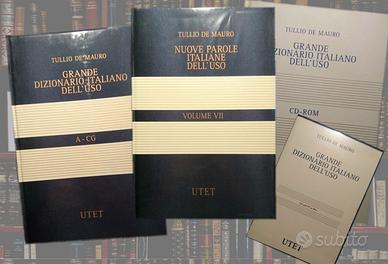 GRANDE DIZIONARIO ITALIANO DELL'USO