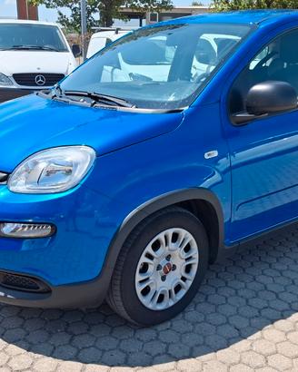 Fiat Pandina 1.0 firefly hybrid s&s 70cv 5p.ti
