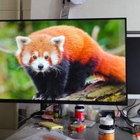 Samsung Smart Monitor M5 (S32BM502)