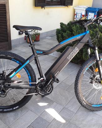 bicicletta elettrica 