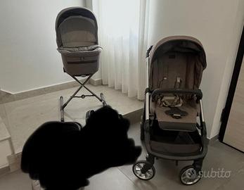 Set inglesina