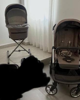 Set inglesina