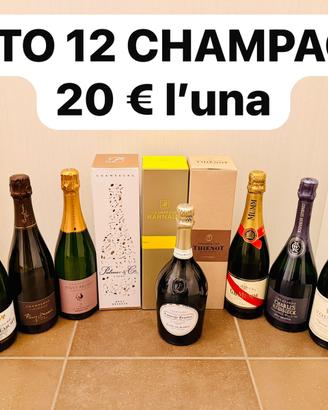 Lotto 12 bottiglie Champagne 0.75L