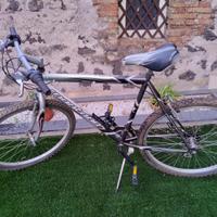 Bicicletta “Montana Axtra Sr Strong” mis.26 L