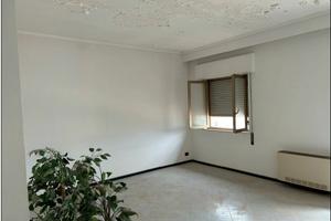 Rge 35/2024 - Tribunale di Trapani