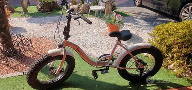 Bicicletta pieghevole