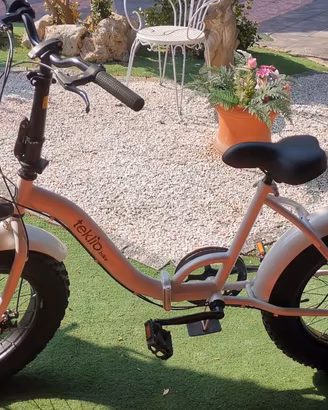 Bicicletta pieghevole