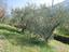 Immagine 22