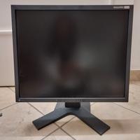 Monitor PC: Eizo Flexscan S1921