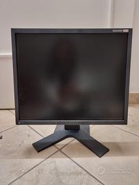 Monitor PC: Eizo Flexscan S1921