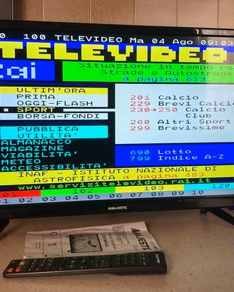 Tv majestic 24 pollici