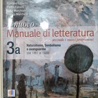 Manuale di Letteratura