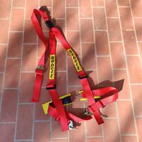 cinture tre punti sabelt