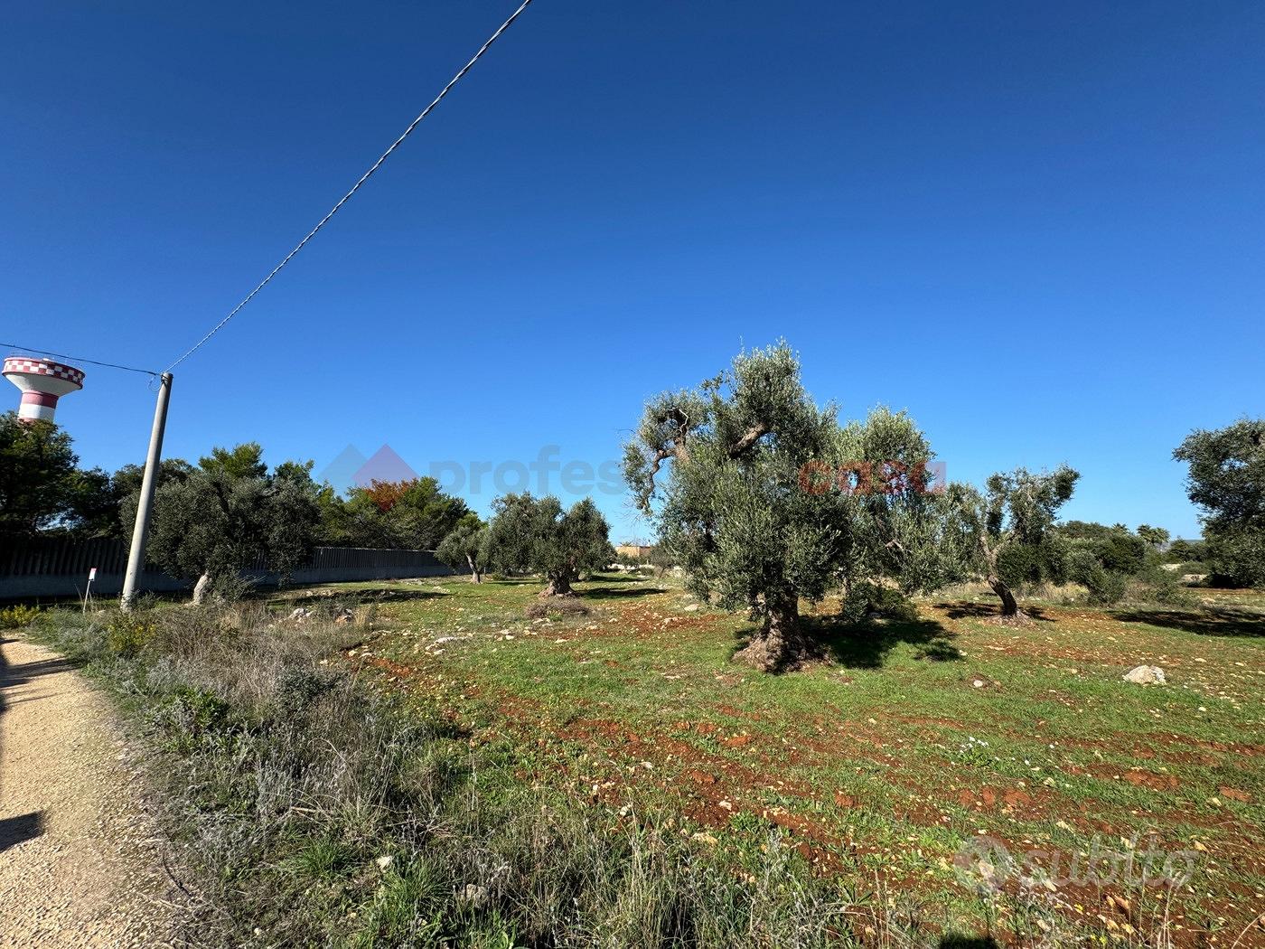 Terreno Agricolo Grottaglie [GP2523VCG] - Altro