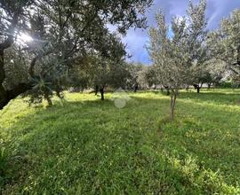 TER. RESIDENZIALE A LAMEZIA TERME