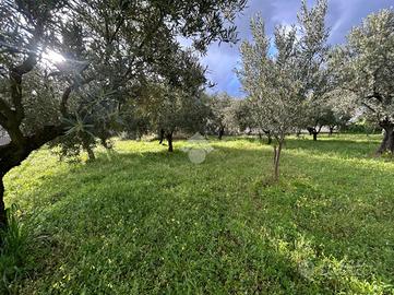 TER. RESIDENZIALE A LAMEZIA TERME