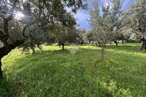 TER. RESIDENZIALE A LAMEZIA TERME