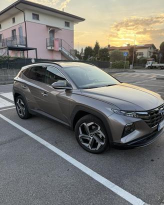 Hunday tucson plug in