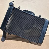 Radiatore Completo KTM 790 DUKE 2018-2020