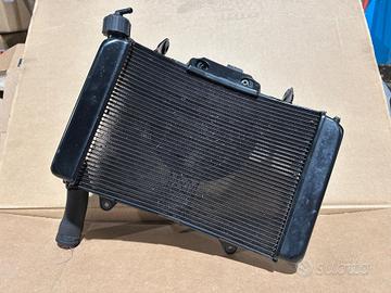 Radiatore Completo KTM 790 DUKE 2018-2020