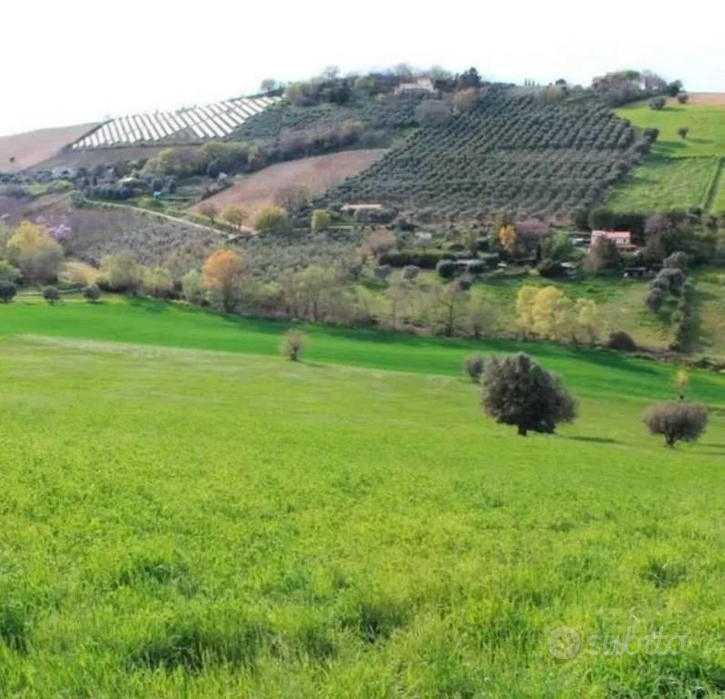 Immobile in asta di 20670 m² a Lapedona - Vista 3