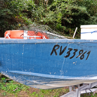 Barca da pesca con licenza rv acque interne