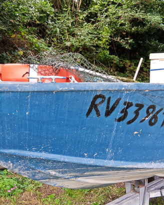 Barca da pesca con licenza rv acque interne