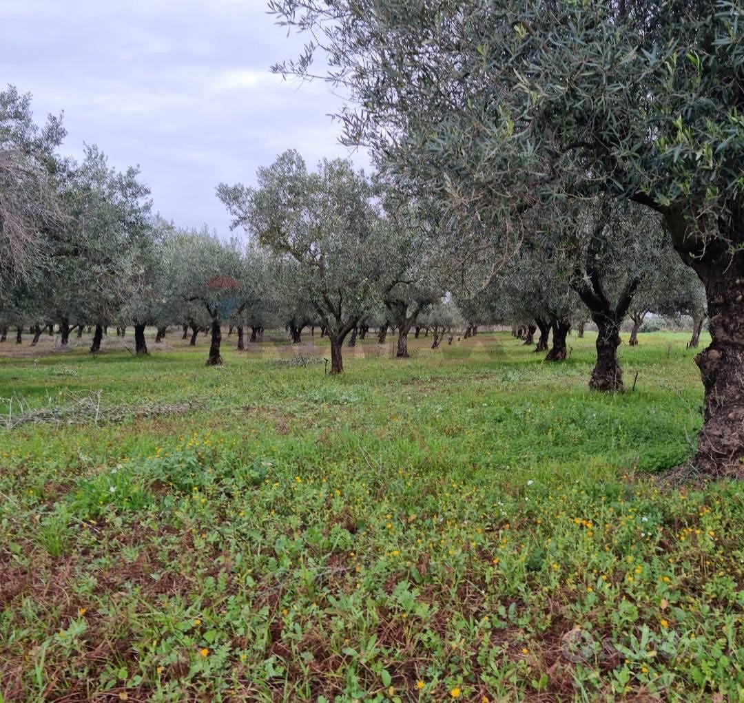 Terreno - Vittoria - Altro