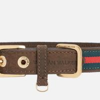 Guinzaglio-collare taglia L William Walker Firenze